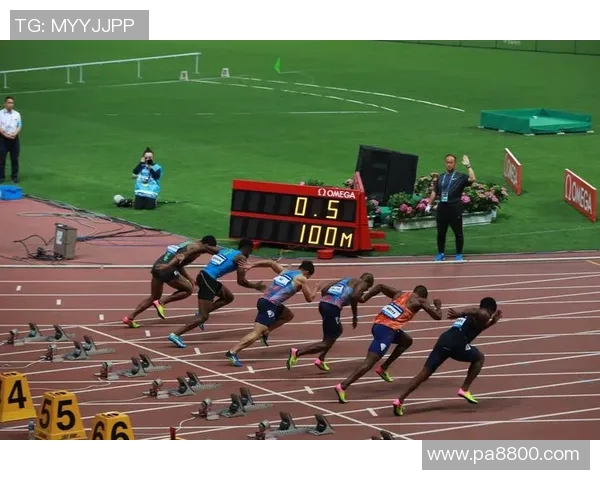 上海排球队在钻石联赛中的蜕变与未来发展展望